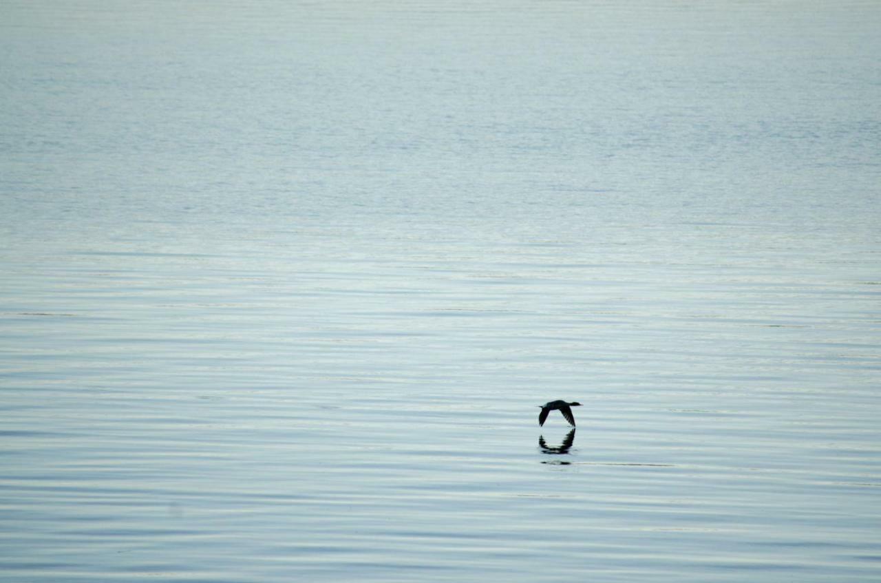 Strandstuga Tämta Buitenkant foto